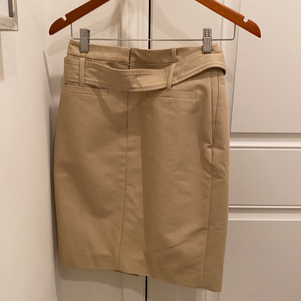 Dressy Skirt